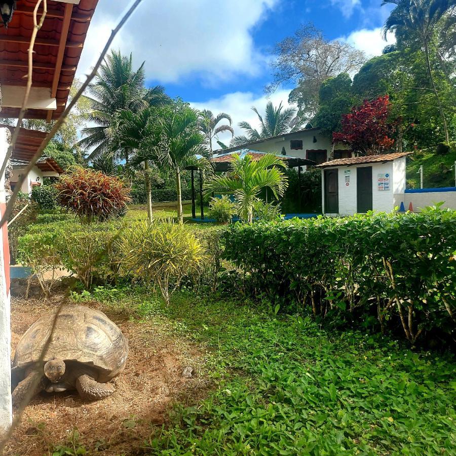 Piedras Blancas Lodge Пуерто-Айора Екстер'єр фото
